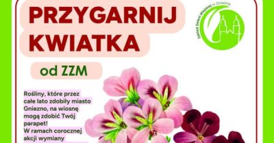 Sezonowe kwiaty będzie można odebrać 15 października